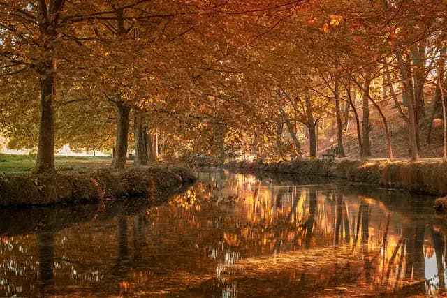 Guía de compra: Hoteles con spa en la naturaleza
